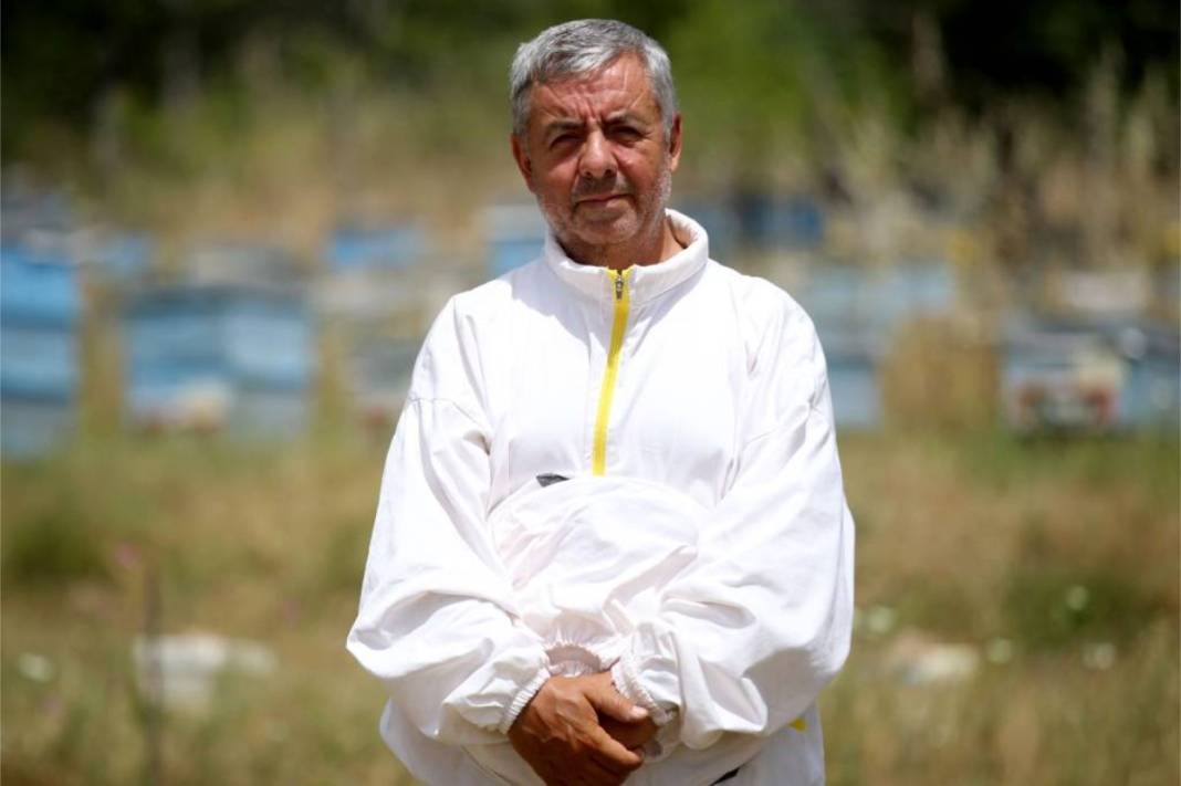 Bal üretimi artsın diye harekete geçildi! Dayanıklı arılar yetiştiriliyor: Üreticilere kovan kovan dağıtılıyor 2